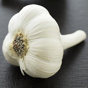 Garlic-Bulb